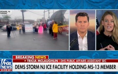 ‘Worst of the worst’: Trump admin official details ‘circus’ surrounding Democrats’ attempt to enter ICE facility