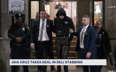 Transgender knife-wielding murderer gets 15-year sentence in plea deal from Alvin Bragg’s office