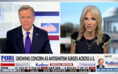 ‘Ideology breakdown’: Kellyanne Conway says Dems have ‘worse than an identity crisis’