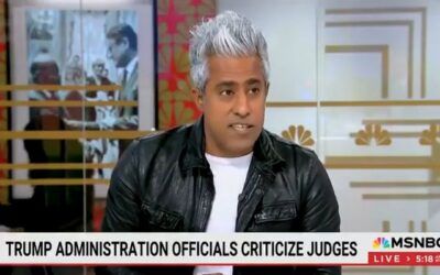 ‘He was chased out’: MSNBC guest gloats about Elon Musk’s departure from Trump White House