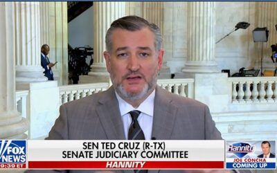 Ted Cruz explains why legal scholars in suspense over how Supreme Court will rule on birthright citizenship