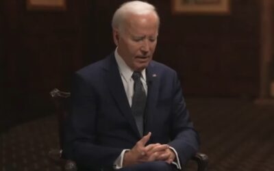 ‘Makes me sad’: ex-Dem strategist says Biden interview was ‘tough to watch’