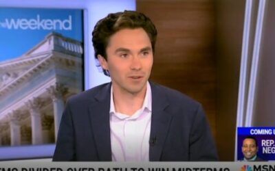 ‘Sucking’: DNC Vice Chair David Hogg rips his own party over age, message