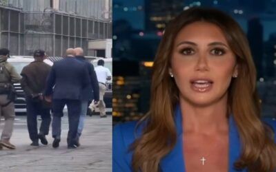 Alina Habba says ‘grandstanding’ Dem mayor chose to ‘disregard the law,’ arrest merited