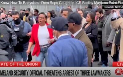 ‘They made this a violent scene’: New Jersey Democrats caught in ICE facility mayhem point finger at agency