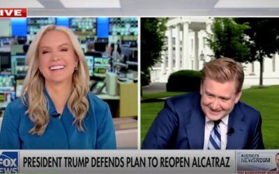 Peter Doocy vs. bird II: Fox News correspondent gets in second on-air fight with feathered fiend