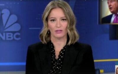 MSNBC host baffled why famous South African immigrant Elon Musk was present at Trump’s meeting with nation’s leader