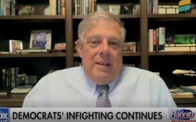 ‘A defeated party in the wilderness’: Fmr Clinton pollster predicts what’s next for Democrats