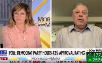 Former Clinton pollster says Dems ‘problem’ is ‘they’re seen as purely partisan’ and ‘off the deep end’