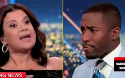 ‘I’m black. You’re not’: CNN segment descends into verbal fistfight over race, illegal immigration