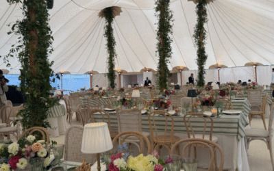 Democrat bigwigs hobnob at ritzy Soros wedding on ‘No Kings’ day