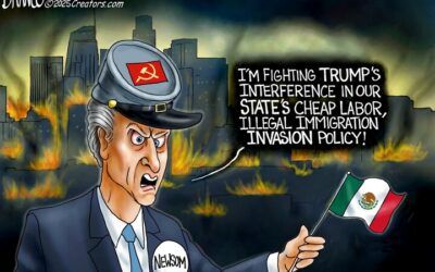 BS daily political cartoons: Newsom’s waving the wrong flag