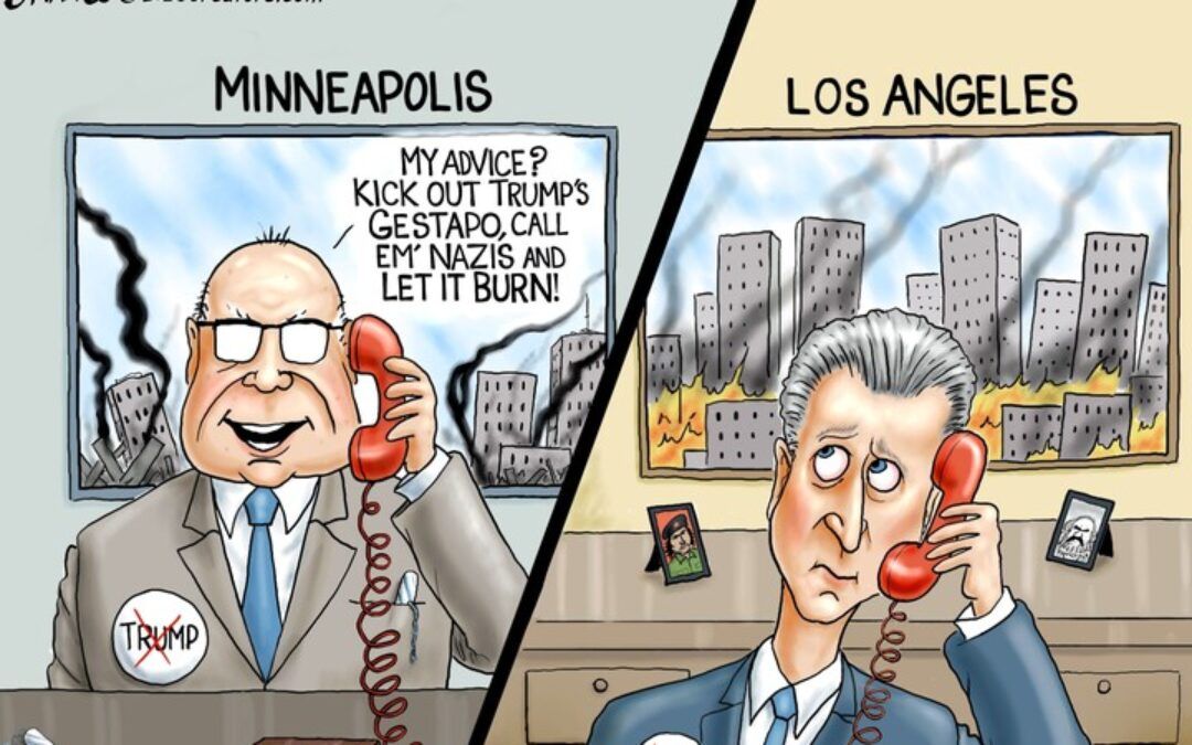 BS daily political cartoons: Call em’ Nazis and let it burn!