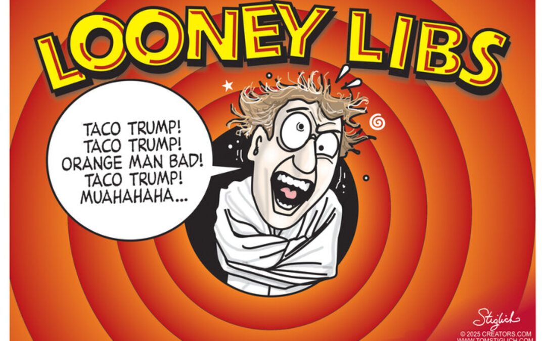 BS daily political cartoons: Looney Libs
