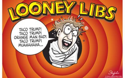 BS daily political cartoons: Looney Libs