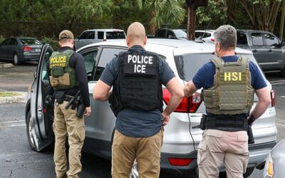 ICE officials told to resume raids on hotels, restaurants, and farms after Trump’s suspension