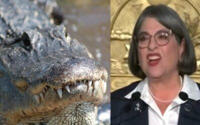 Democrat Miami-Dade mayor steamed about ‘Alligator Alcatraz’ ICE detention facility