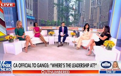 ‘Wait a minute!’: Harris Faulkner smacks down Dem panelist who claims ICE isn’t going after ‘worst of the worst’