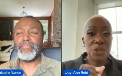 ‘These people are a monotheistic cult’: Joy Reid goes on unhinged 2-minute tirade attacking Trump, Rubio