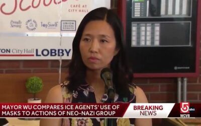 Boston Mayor Michelle Wu confronted by reporter as she compares ice agents to Nazi group