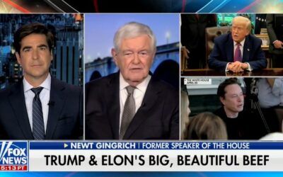 ‘What the media doesn’t quite get’: Newt Gingrich says press won’t tell you most important part of Trump–Musk feud