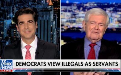 ‘What if they actually had to serve themselves?’: Newt Gingrich says Democrats exposed their elitism on deportations