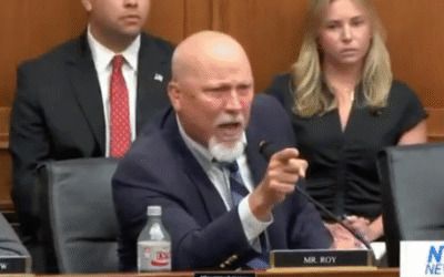 Chip Roy has no time for ‘beta’ boy and his ‘Libertarian clap trap’ in REALLY HEATED hearing exchange