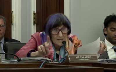 ‘I want your plan!’ Blue-haired dem shouts down Pete Hegseth during hearing