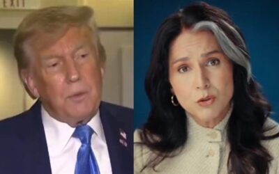 Report sheds light on why Tulsi Gabbard may have ended up in Trump’s doghouse
