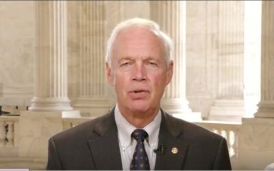‘President Trump and Elon Musk showed us how to do it’: Ron Johnson wants forensic budget review on excess spending