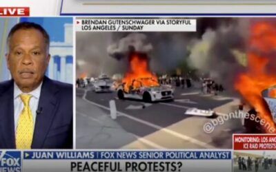 Juan Williams claims LA was ‘quiet last night,’ videos show otherwise