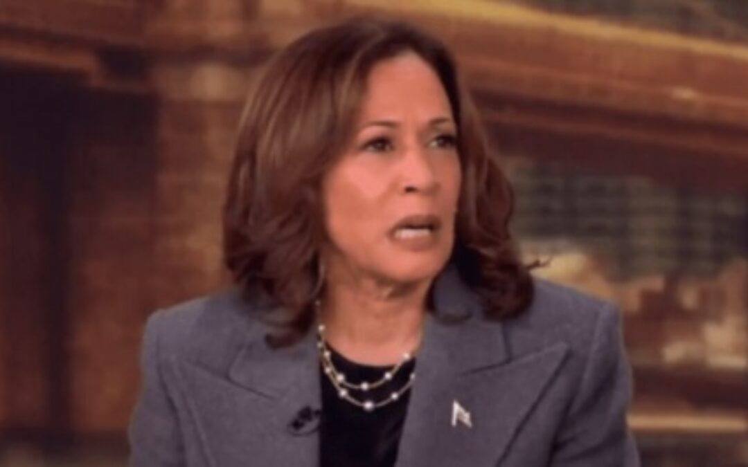 ‘Sit this one out’: Kamala roasted after pre-buttal swipe at Trump