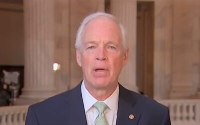 Ron Johnson says Elon Musk ‘bolsters’ his case Trump’s ‘one big, beautiful bill’ was ‘not the best idea’