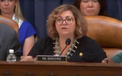 GOP congressmen literally groan as Dem rep plays ‘woman’ card at Scott Bessent