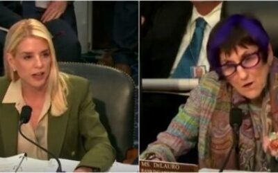 ‘Tell me what the numbers are!’ Purple-haired Dem repeatedly shouts down Pam Bondi at hearing