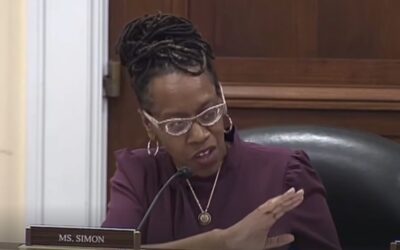 ‘Keep Dr. King’s name out of your mouth!’: Dem rep blows her top at gop witnesses for quoting iconic American
