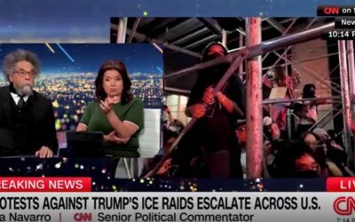 ‘The View’ co-host posits baseless theory about why Trump deployed troops to LA