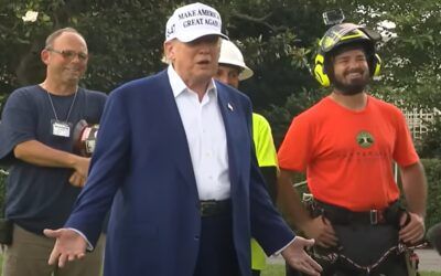 Trump jokes about an erection and his ‘beautiful equipment,’ while Musk drops his own one-liner
