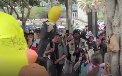 Liberals force young children to participate in violent, vulgar anti-Trump protests