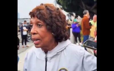 Replay, please! Maxine Waters tries to barge into LA federal building, ICE SLAMS door in her face!