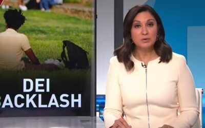 Chubb Insurance a vehicle for liberal activism