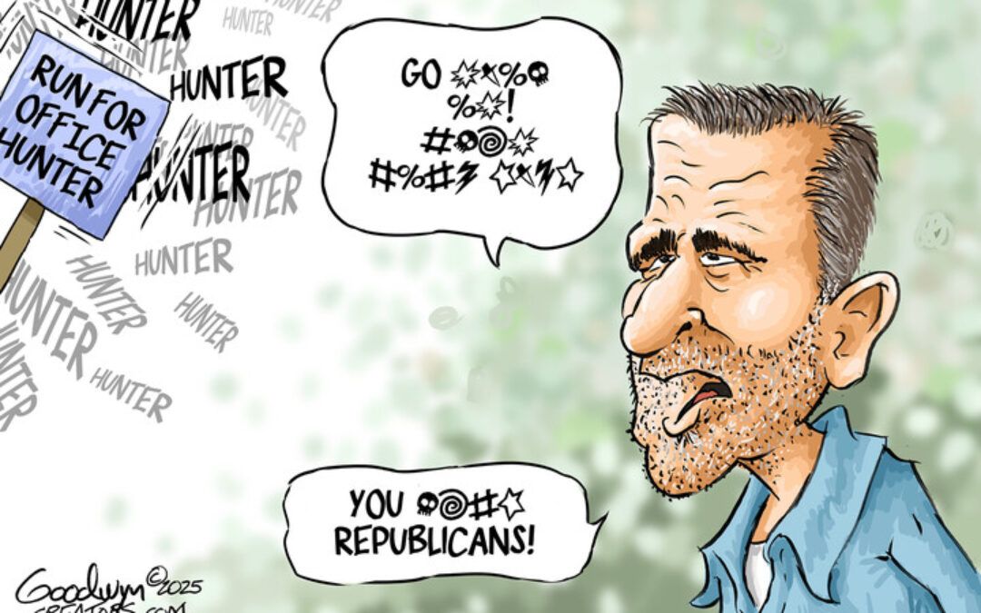 BS daily political cartoons: Run for office Hunter