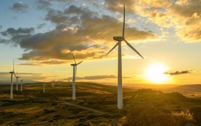 Trump halts preferential treatment for ‘unreliable, foreign-controlled’ wind energy