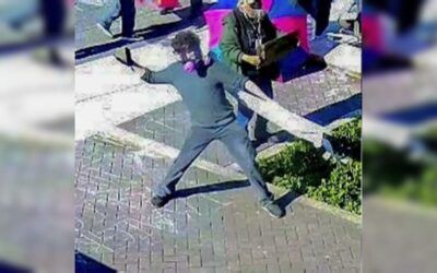 Rock-throwing ‘pacifist’ Portland quaker charged in ICE assault faces up to 30 years in prison