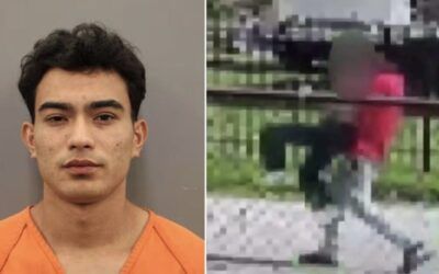 Footage of screaming sex-trafficked victim being dragged by illegal migrant captor goes viral