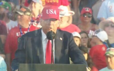 Trump drops hint that UFC could throw down at White House