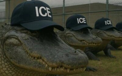 Greens suing to block Alligator Alcatraz may have made one big mistake, Florida official says