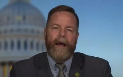 Rep. Bean to strengthen penalty for attacks on police dogs, horses