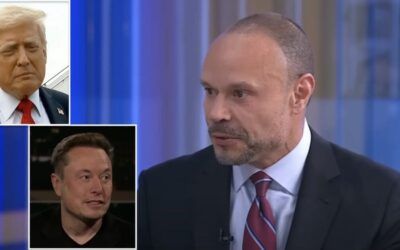 Trump speaks out about Bongino amid feud with Bondi; Musk steps up pressure to charge Epstein clients