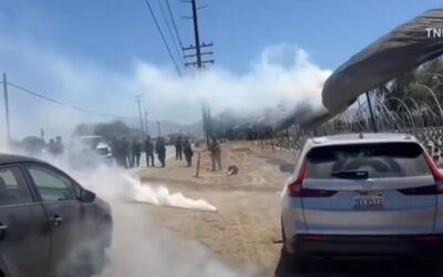 Detained weed farm illegals Dems rushed to defend actually have heinous rap sheets